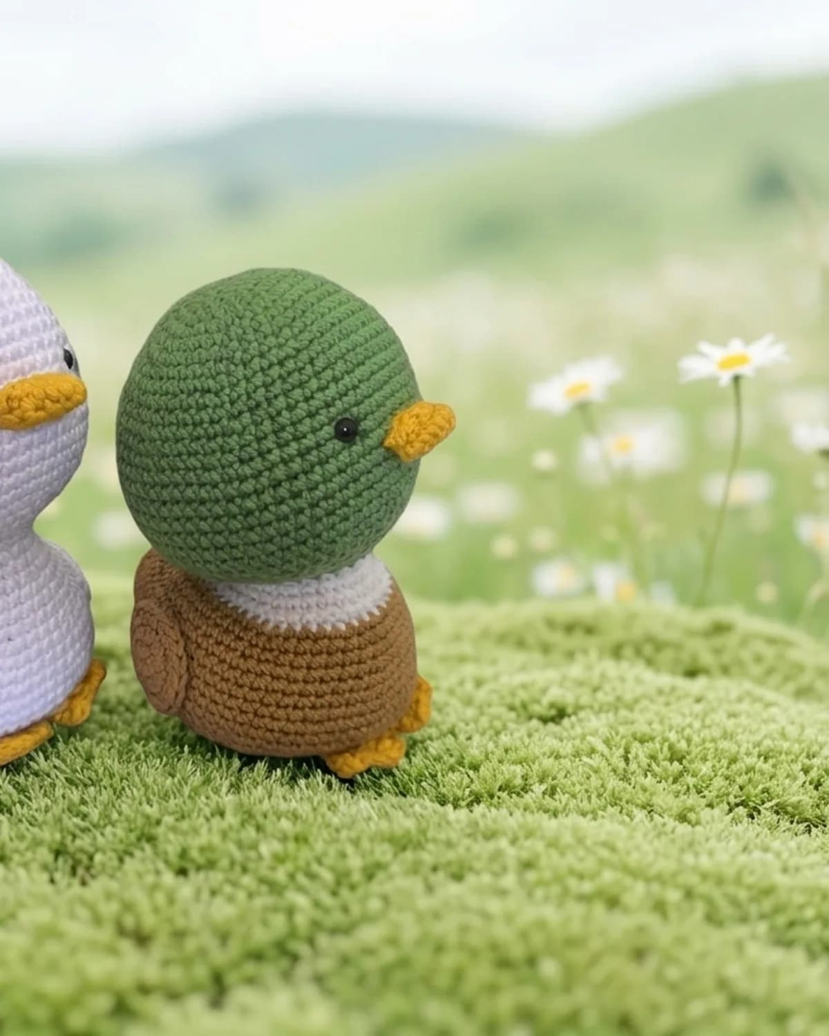 Pareja de patitos — miniatura 3